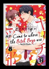 Come to where the Bitch boys are 3